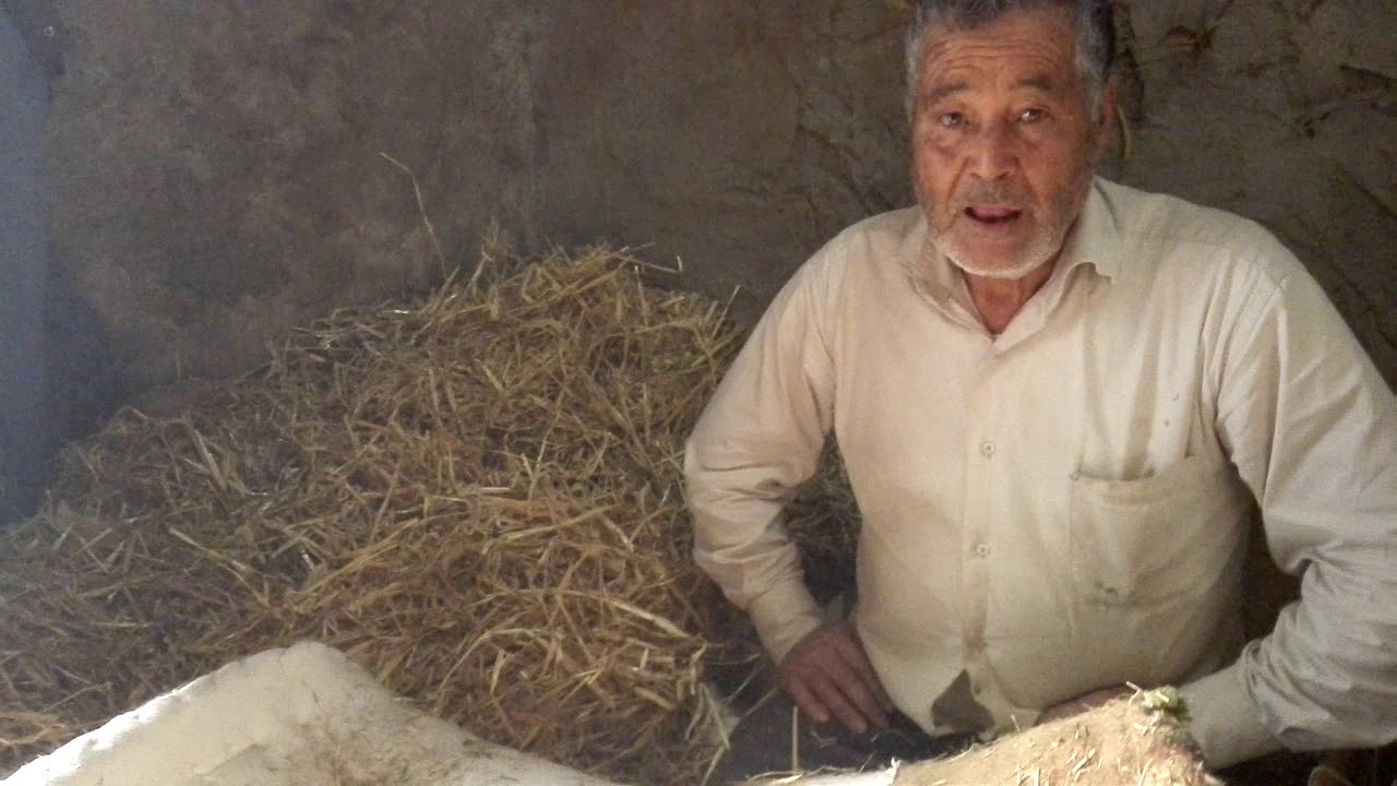 دكان عم بنعيسى البلي لصناعة وصيانة البردعة و الوسادة