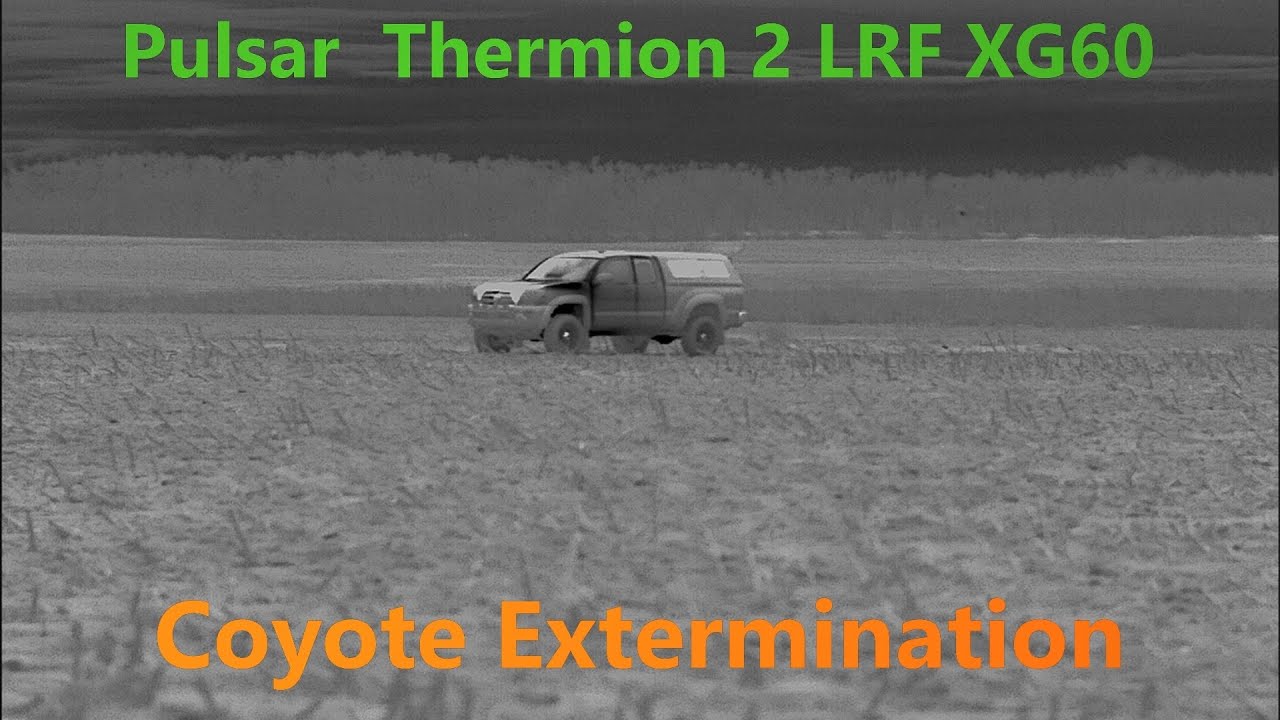 Pulsar Thermion 2 LRF XG60: Coyote Extermination: KC Ep.171