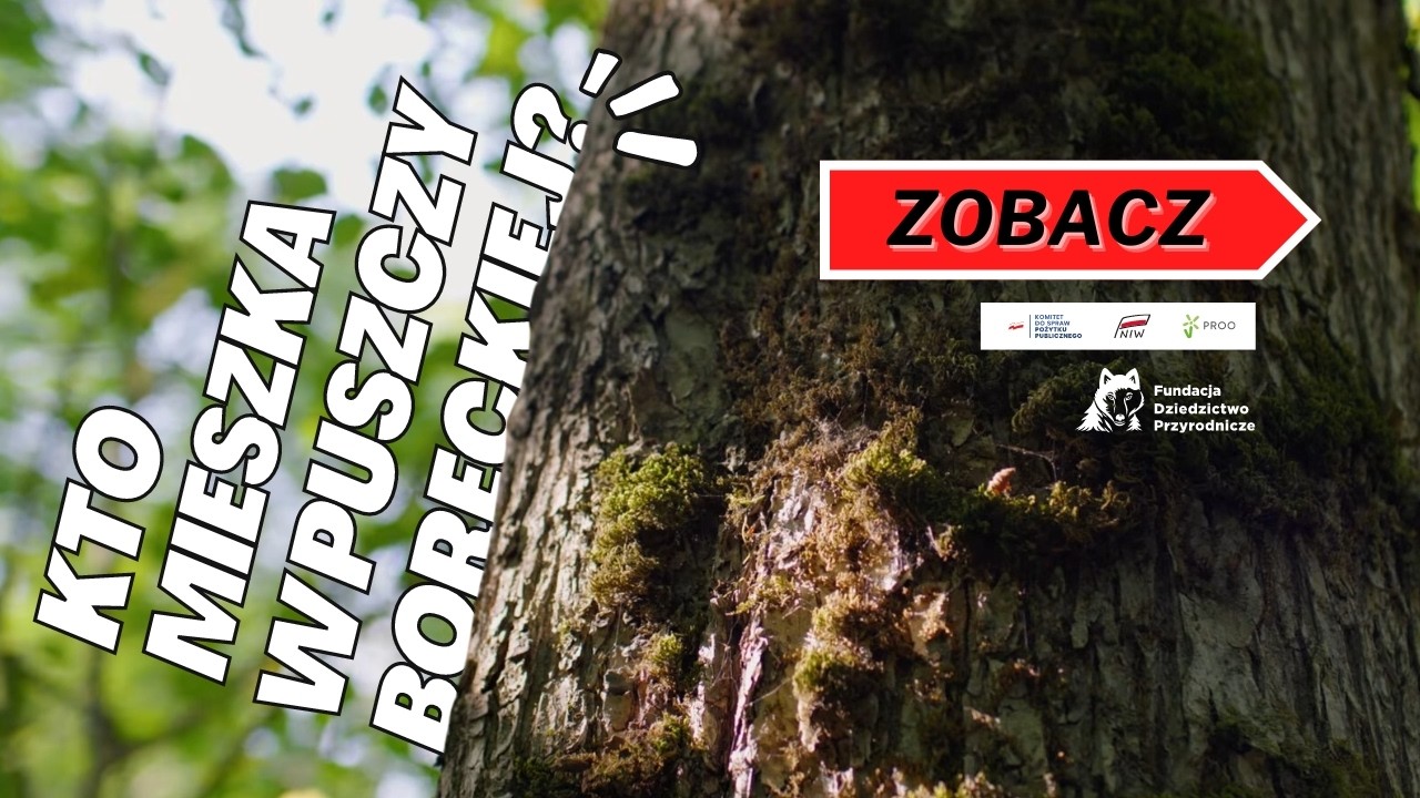 Projektowany Park Narodowy Puszczy Boreckiej