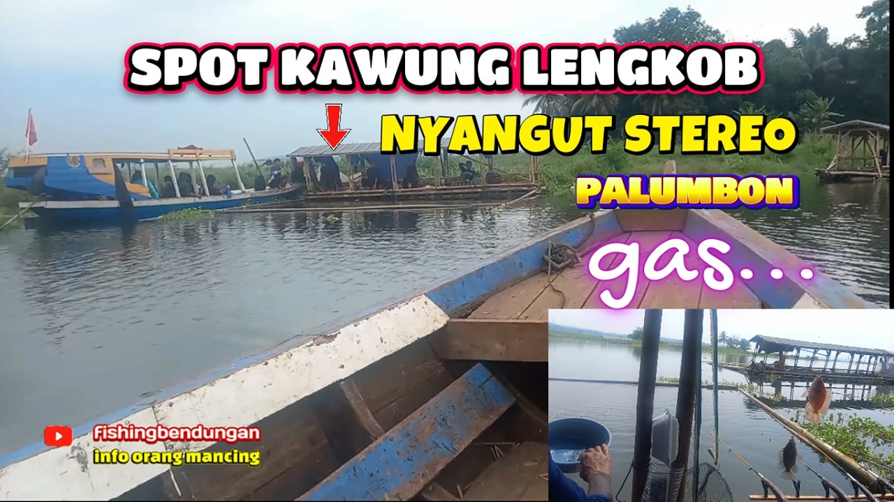 spot kawung lengkob nyangut stereo