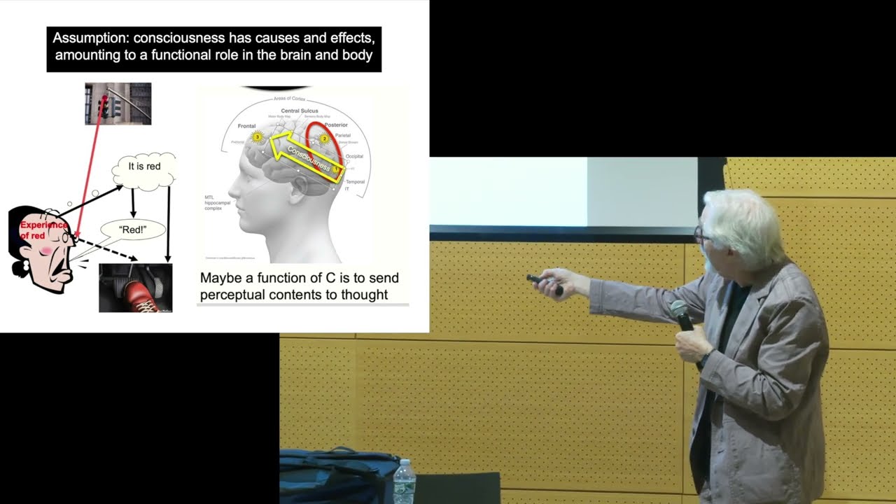 Ned Block - Can only meat machines be conscious?