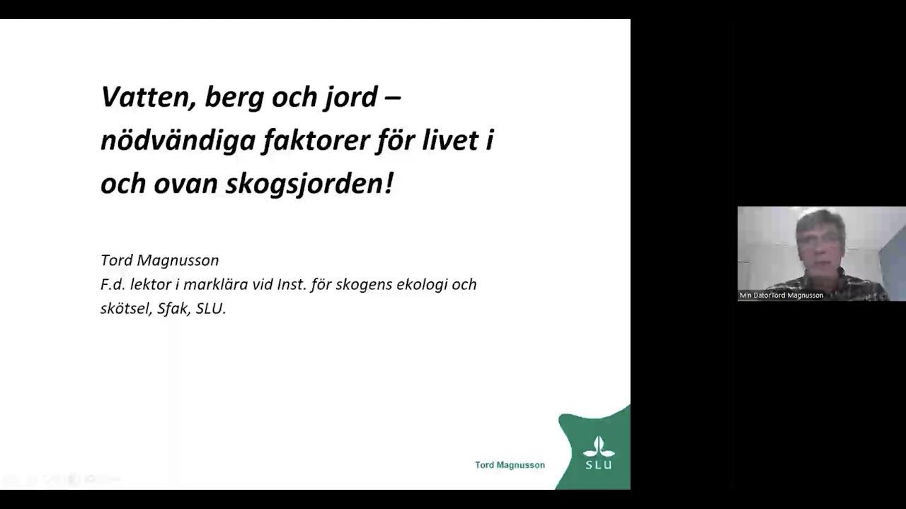 Tord Magnusson: Vatten, berg och jord – nödvändiga faktorer för livet i och ovan skogsjorden.