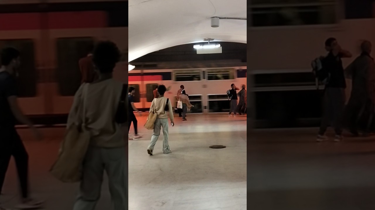 doppia di MI 2N in arrivo a Gare du Nord (stazione sotterranea linea RER E)