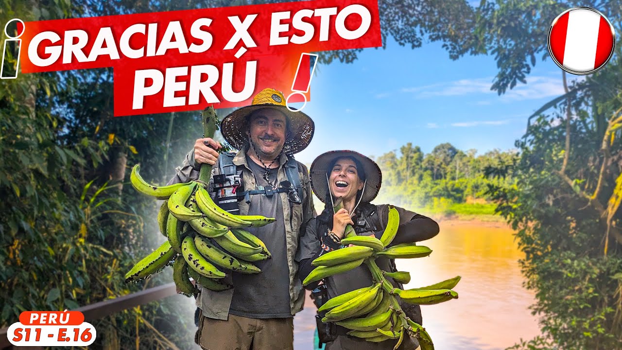 🇵🇪 LA MEJOR EXPERIENCIA EN LA SELVA DEL AMAZONAS DE Perú - Tambopata - Puerto Maldonado