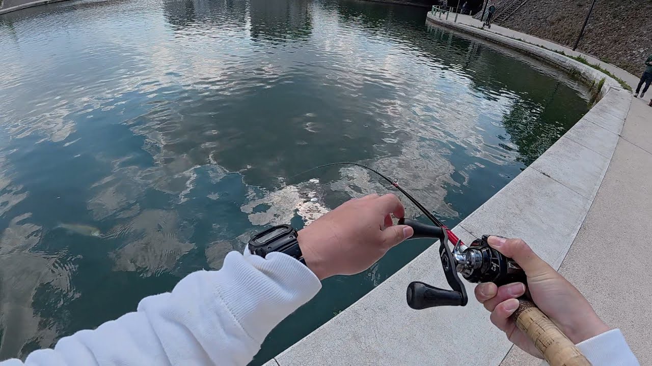 パイク釣り解禁日翌日にパリストリートフィッシングしたらあの魚が！？