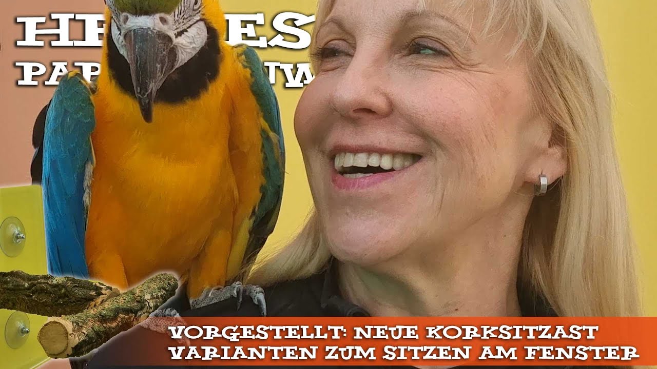 Heike und Marlene stellen die neuen Fenster-Korksitz&auml;ste vor