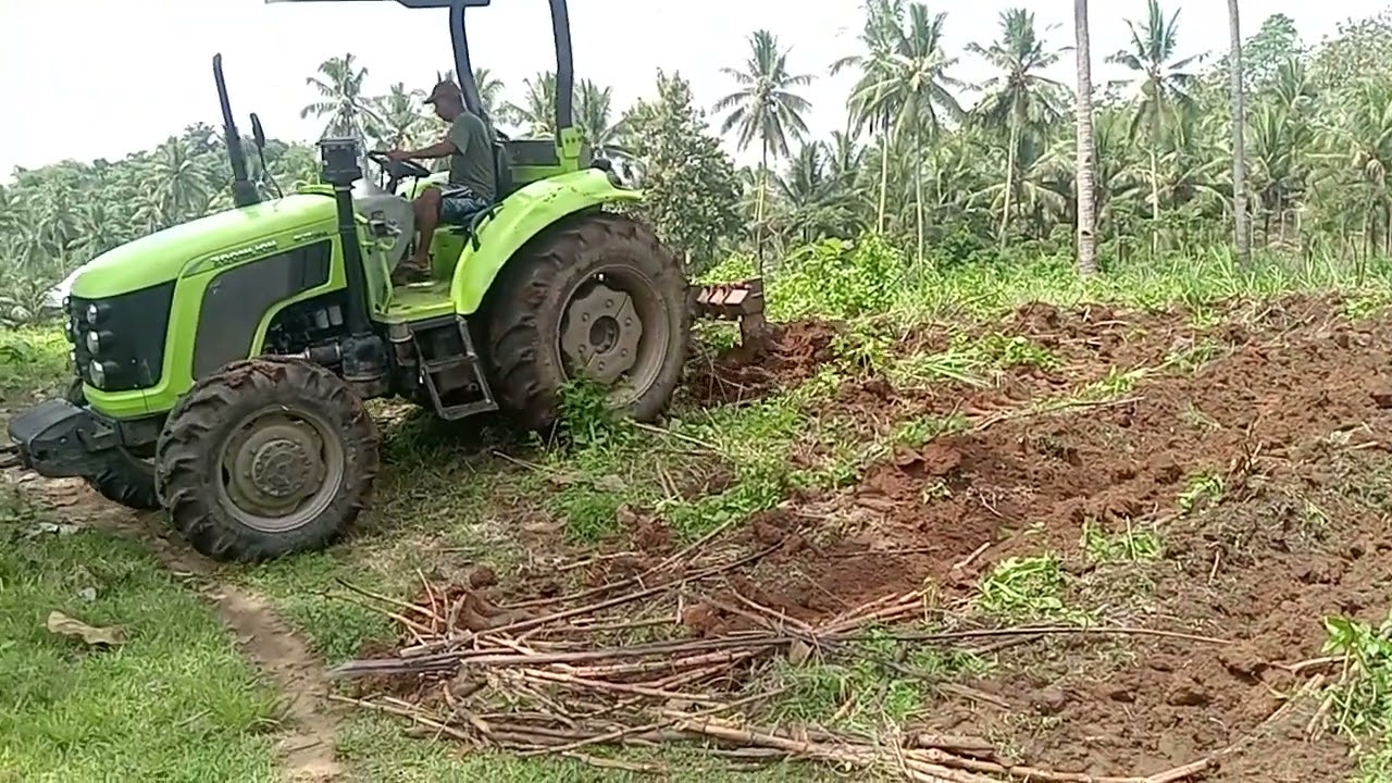 Tanam tebu