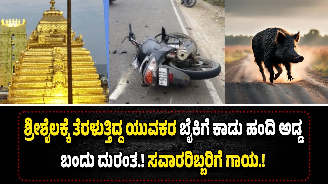 ಅ*ಡ್ಡ ಬಂದ ಕಾಡು ಹಂದಿಗೆ ಬೈ*ಕ್ ಡಿ*ಕ್ಕಿ*ಯಾಗಿ ಸವಾರರಿಬ್ಬರಿಗೆ ಗಂ*ಭೀ*ರ ಗಾ*ಯ.!