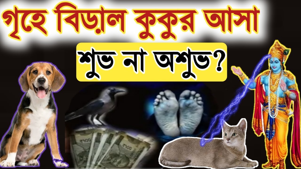 গৃহে বিড়াল কুকুর আসা শুভ না অশুভ | কি সংকেত বহন করে | কি বলছেন শ্রীকৃষ্ণ? Garud Puran