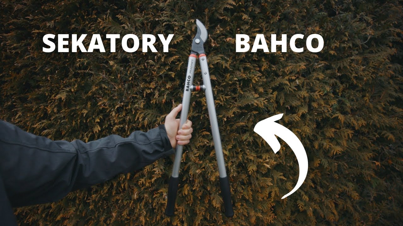 Sekatory BAHCO do zimowego przycinania drzew i krzew&oacute;w owocowych