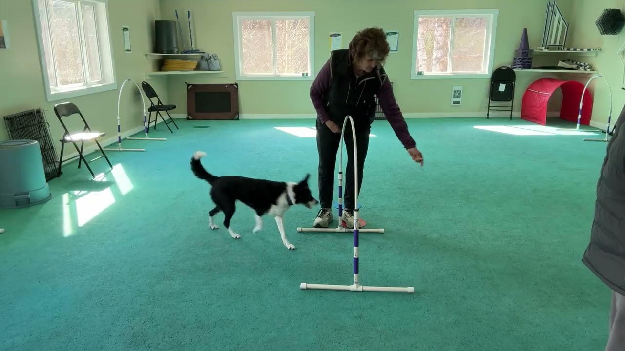 2 0 Food Toss through hoop