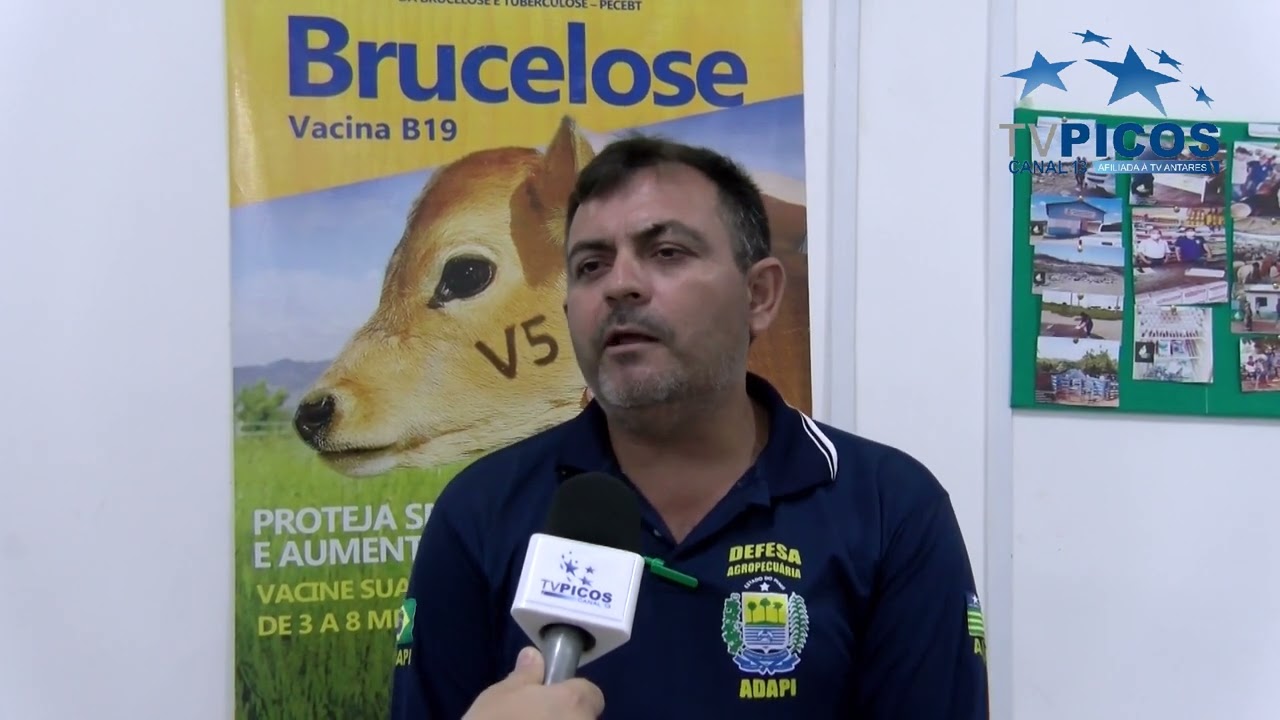 A FORMA DE APLICAÇÃO DA VACINA CONTRA A BRUCELOSE