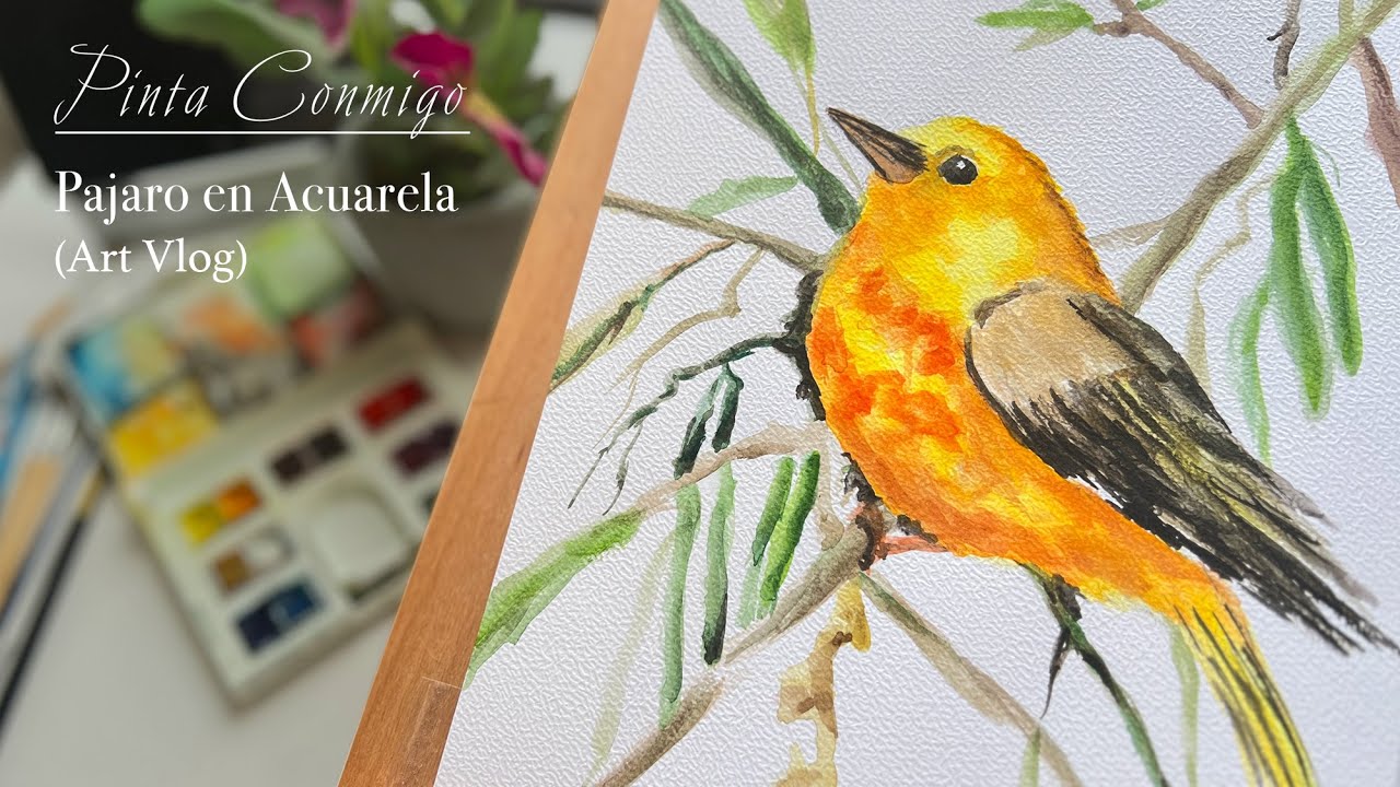 Pinta un pajaro en Acuarela PASO A PASO! Petirrojo Europeo  #acuarela #pinturaartistica #pintar