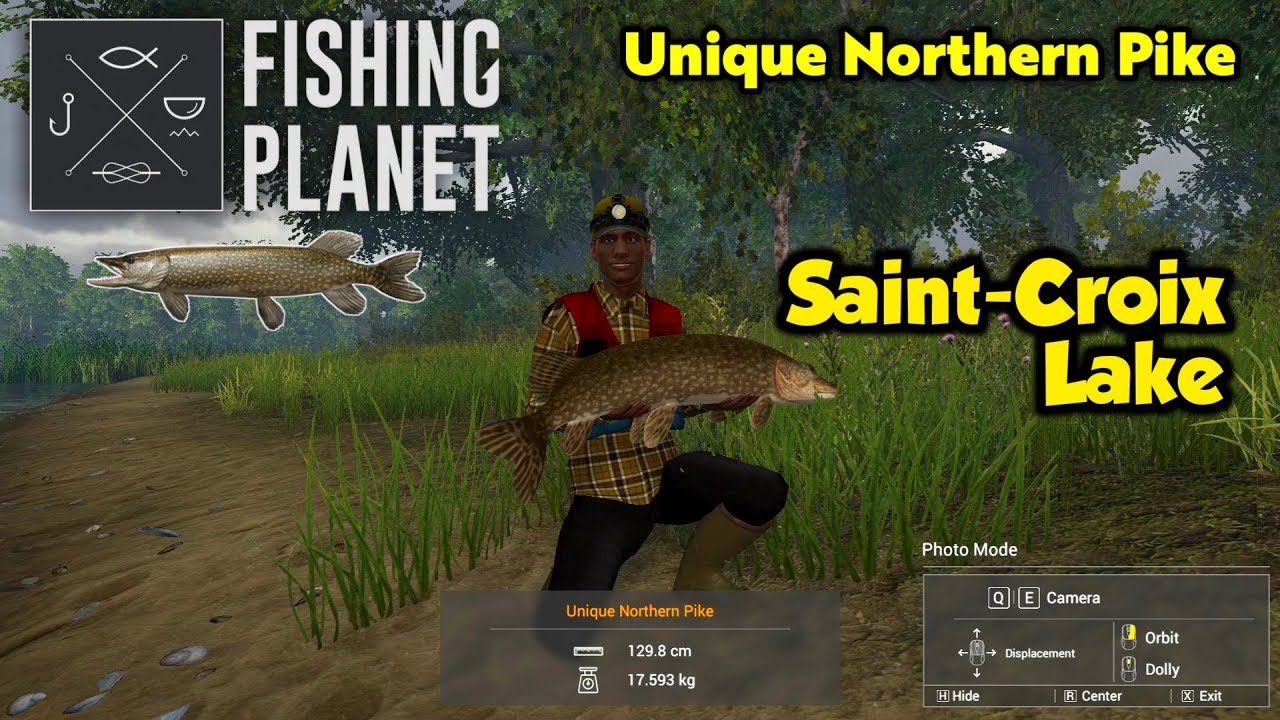 Unique Northern Pike Saint-Croix Lake - Fishing Planet