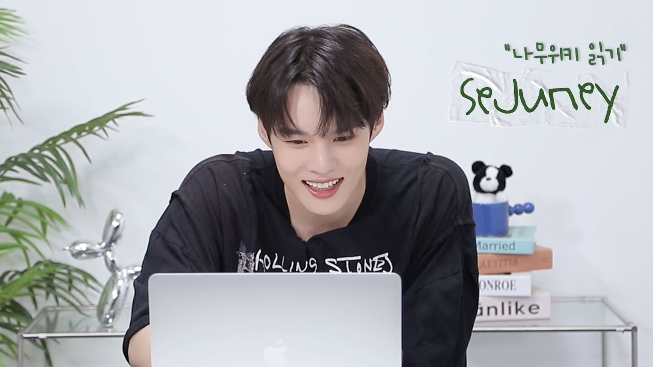 (SUB) 나무위키 읽기💻 l 세준이를 파헤쳐 봅시다🔍