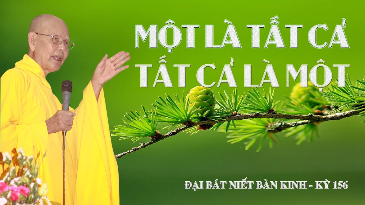 MỘT LÀ TẤT CẢ, TẤT CẢ LÀ MỘT - HT.THÍCH TỪ THÔNG - ĐẠI BÁT NIẾT BÀN KINH - KỲ 156