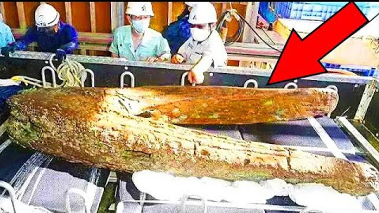 Mysterious Objects Found in Places That Were Sealed for Decades
