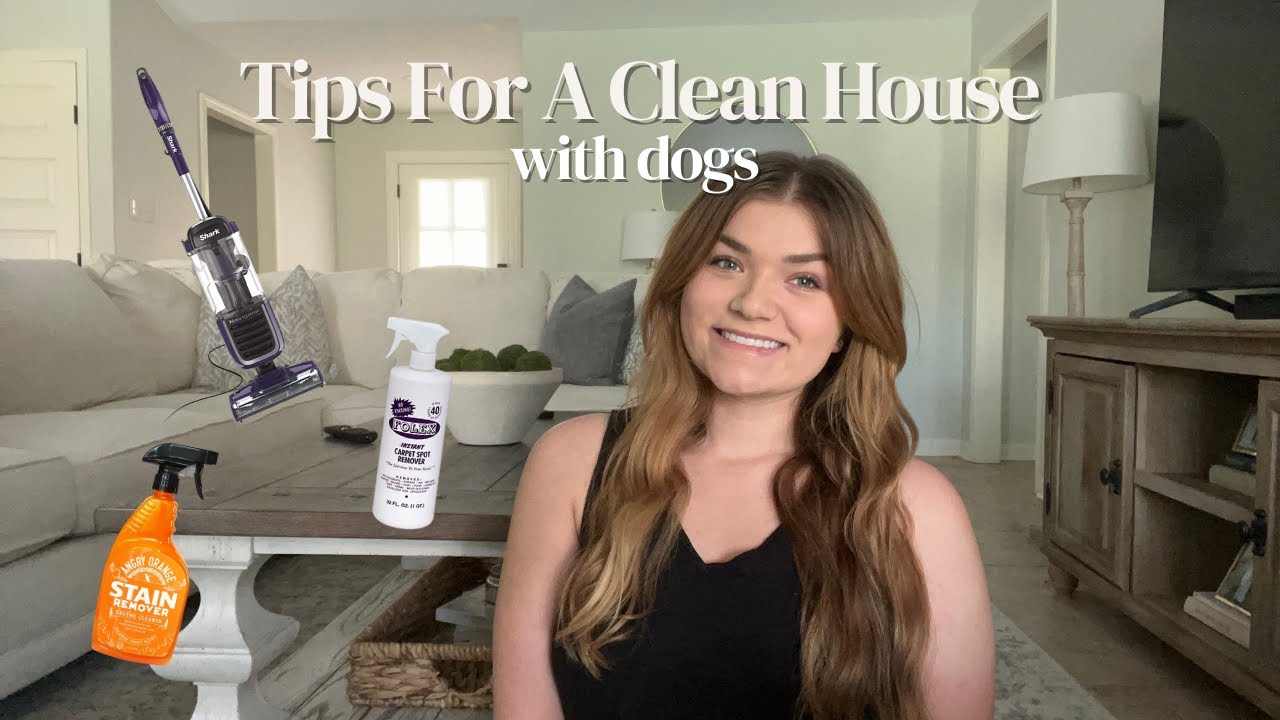 House Cleaning With Pets | Cleaning Tips | How To Clean Dog Hair | Cleaning  Products 2023