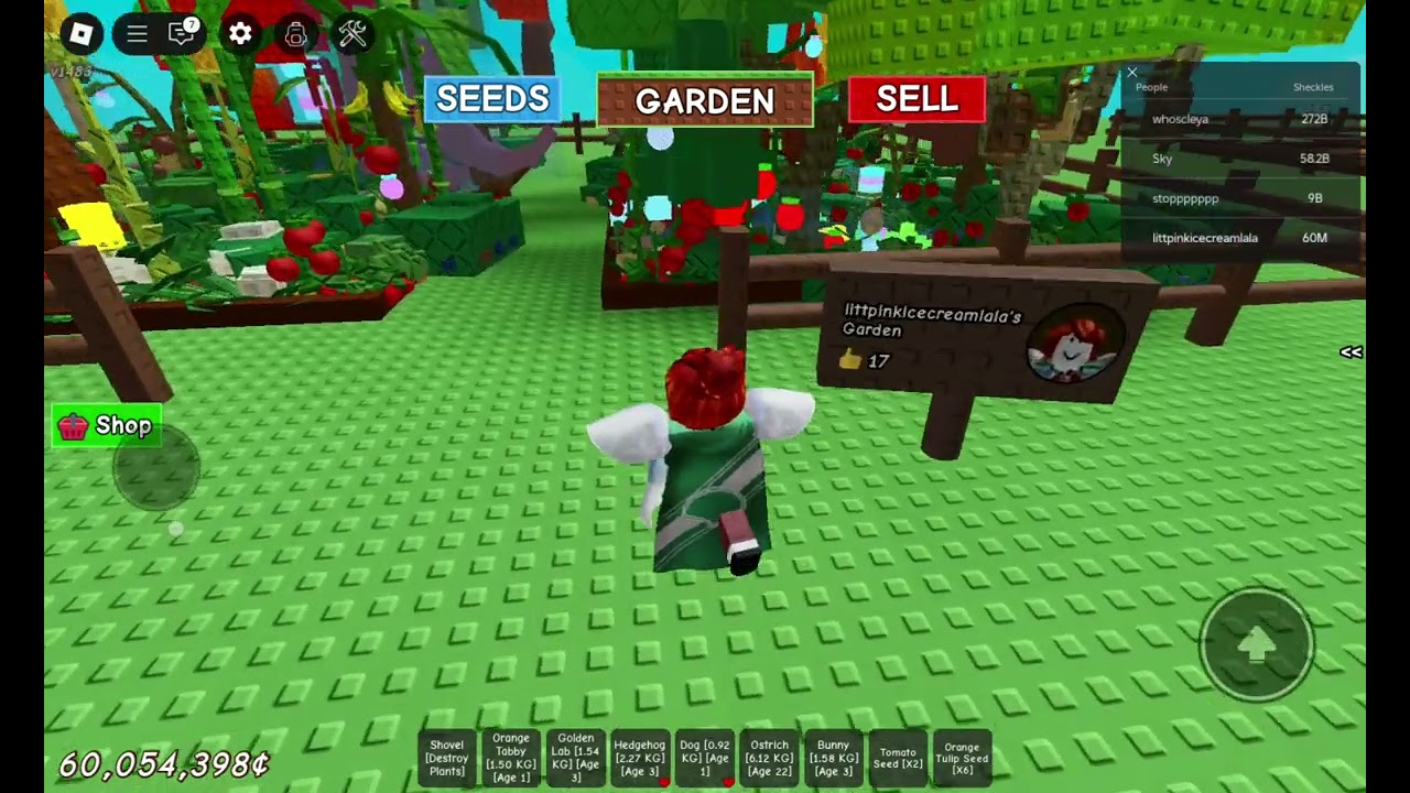 Robox  Grow a garden