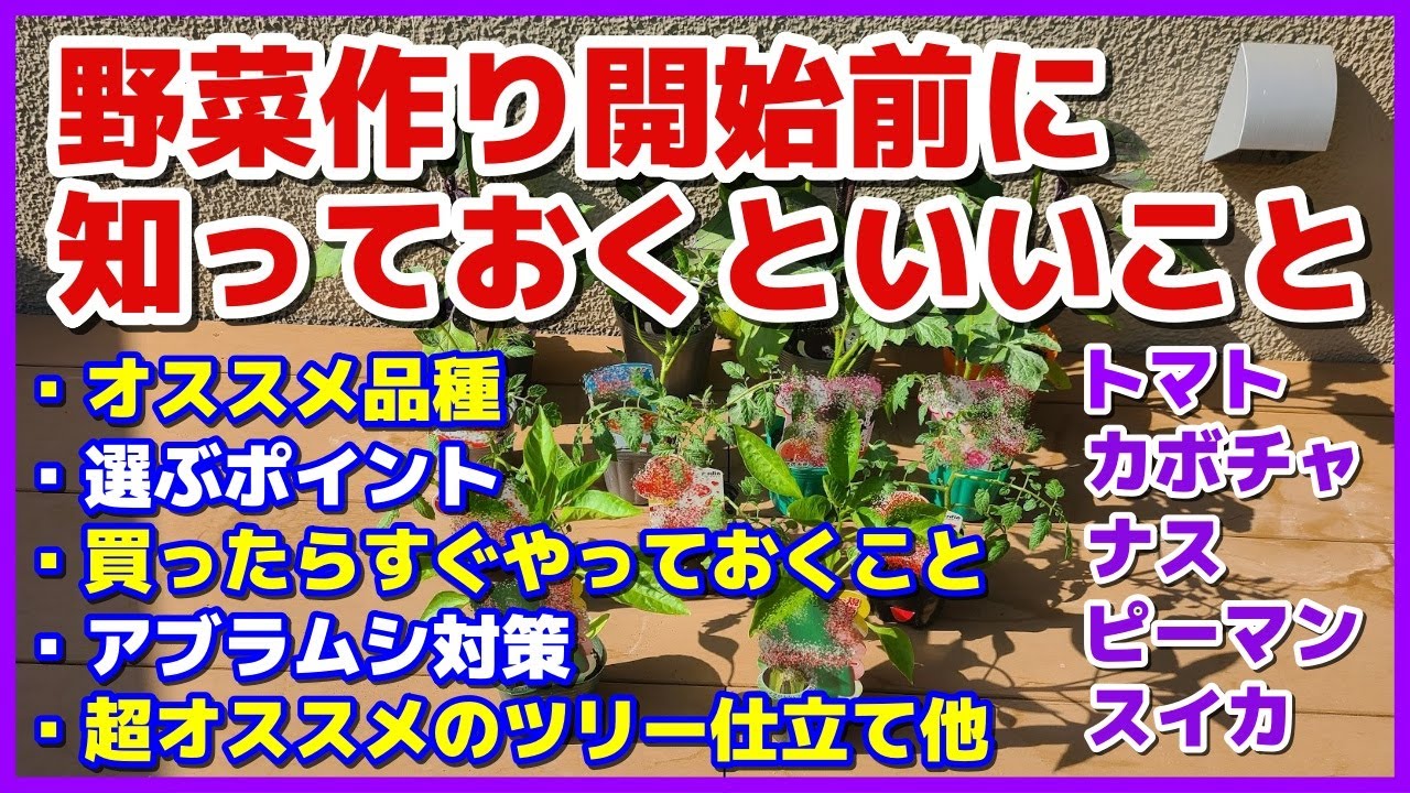 野菜作り開始前に知っておくといいこと・オススメすること盛りだくさん／マロ夫が●●●●になった！／トマト・カボチャ・ナス・ピーマン・スイカ栽培／アブラムシ対策／ツリー仕立てのオススメ／家庭菜園