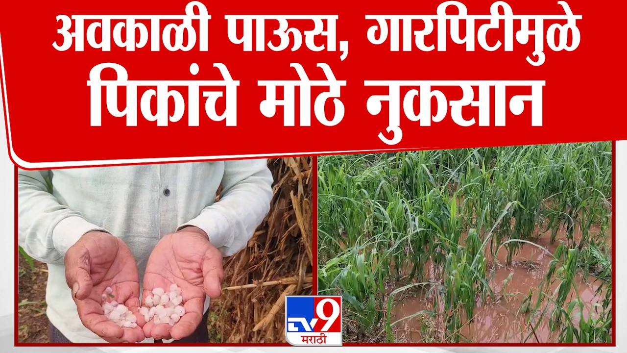 Nashik | अवकाळी पाऊस, गारपीटाने पिकांचे नुकसान, भरपाईची मागणी