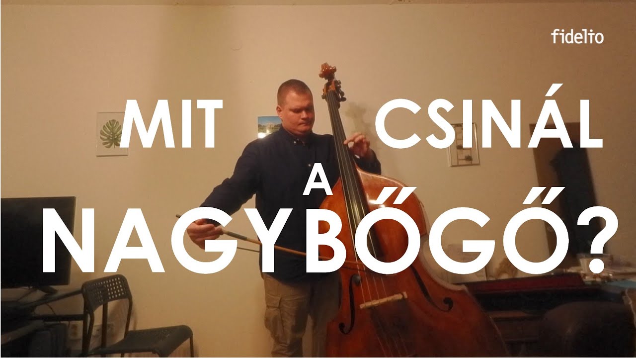 Bemutatjuk a nagybőgőt: Csuti Dávid