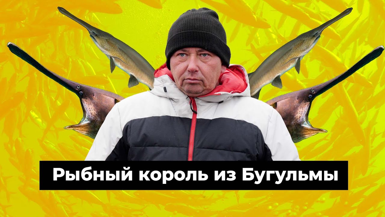 Разбогатеть на «буратино». Как бывший водитель «Лукойла» завез в Татарстан веслоносов