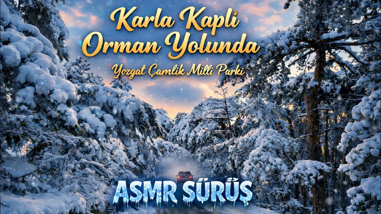#YozgatÇamlığı #YozgatÇamlığıMilliParkı #Yozgat #DoğaSesleri #ASMR #ASMRDoğa #ASMRNature #nature
