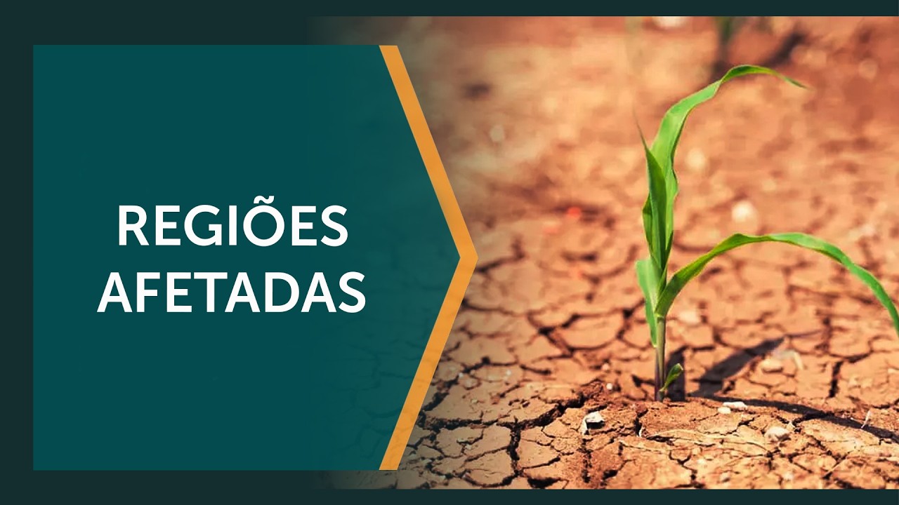 Fenômeno El Niño altera calendário e janela de plantio