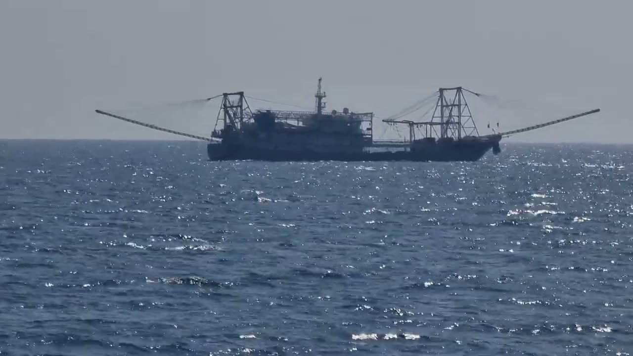 Squid ship