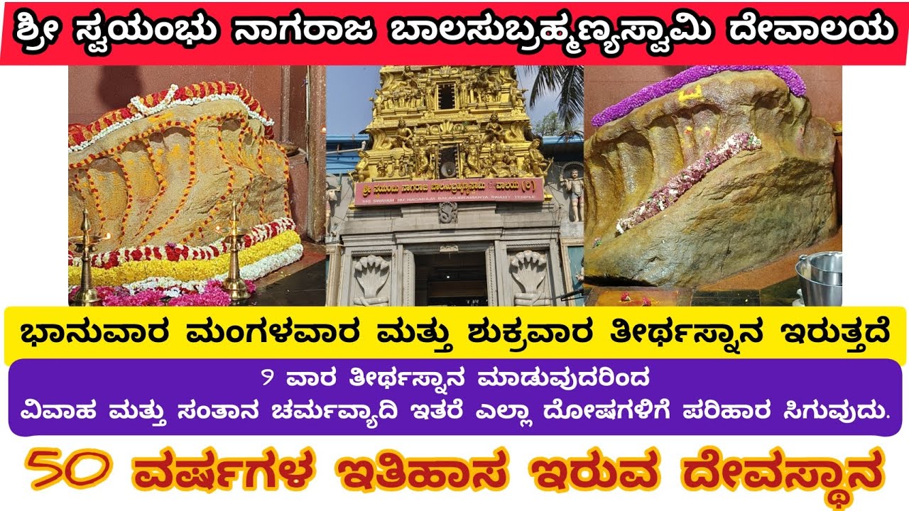 ಶ್ರೀ ಸ್ವಯಂಭು ನಾಗರಾಜ ಬಾಲಸುಬ್ರಹ್ಮಣ್ಯಸ್ವಾಮಿ ದೇವಾಲಯ ಬೆಂಗಳೂರು ಪಾದರಾಯನಪುರ