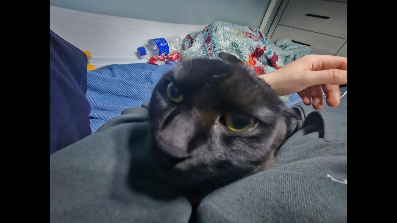 boredom stream