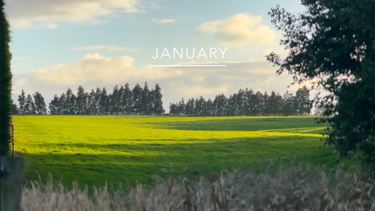 JANUARY | 12 months on a New Zealand dairy farm