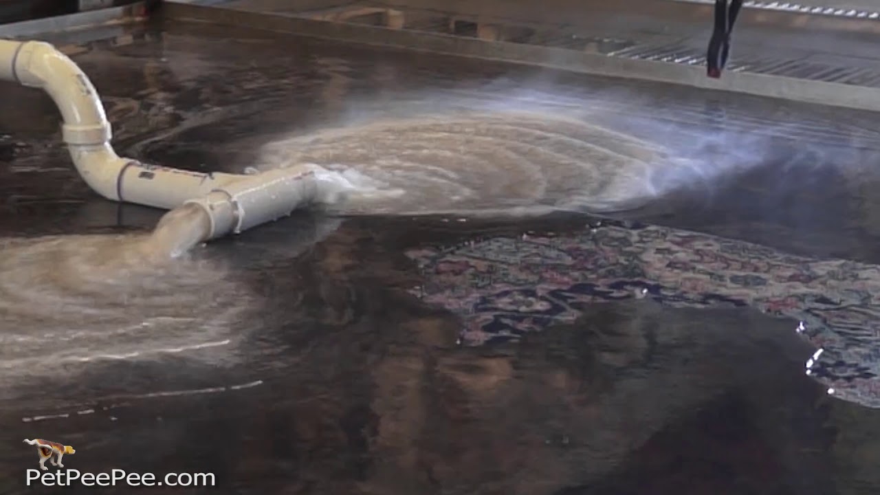 The Magic of cleaning a Pakistani carpet