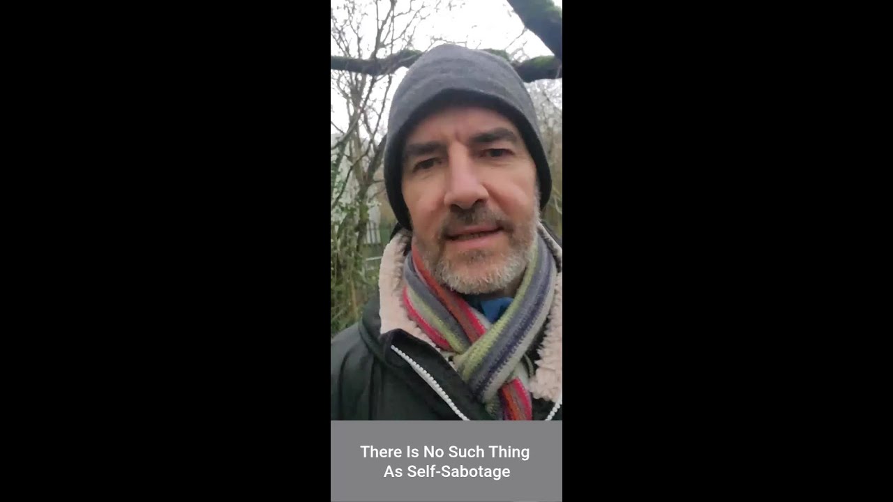 There Is No Such Thing as Self-Sabotage