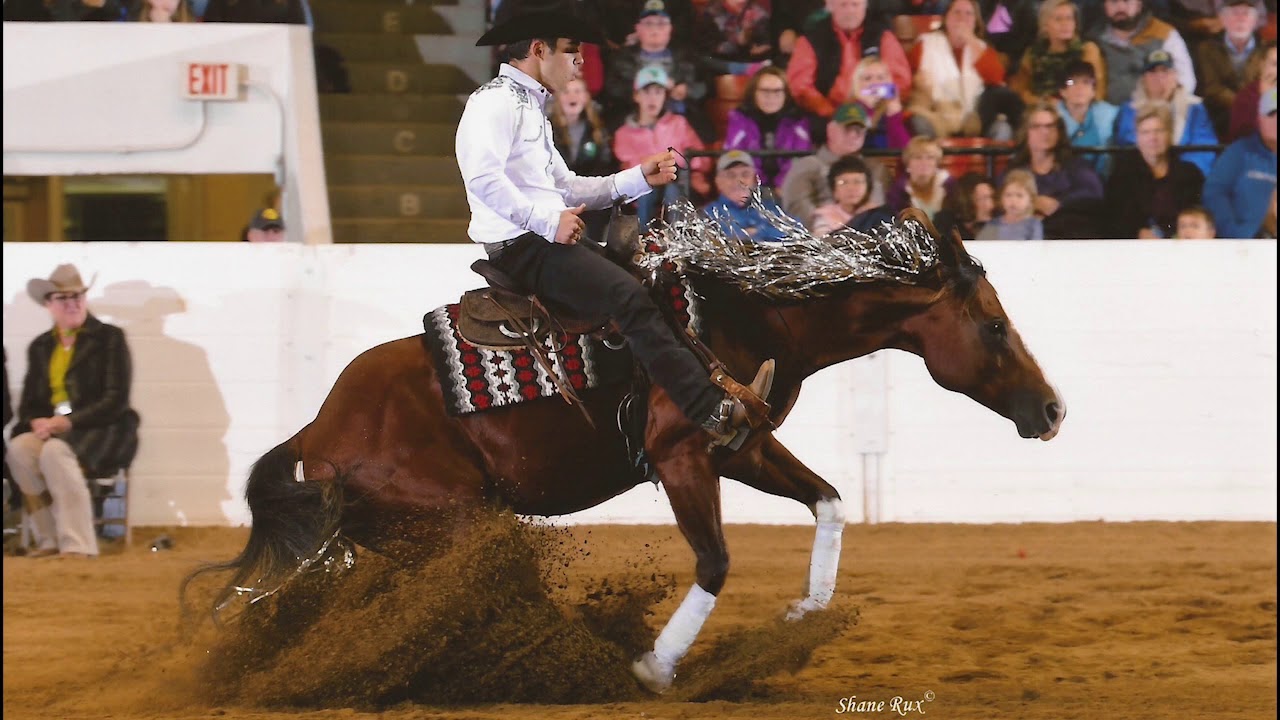 Luke Gingerich Horsemanship 2018 Promo Video
