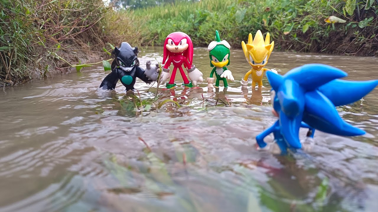 Соник и его друзья/Соник Сильвер/Уэйрхог/Метал Соник/Наклз/Соник Хеджхог/Супер Шэдоу/Тейлз/Эггман