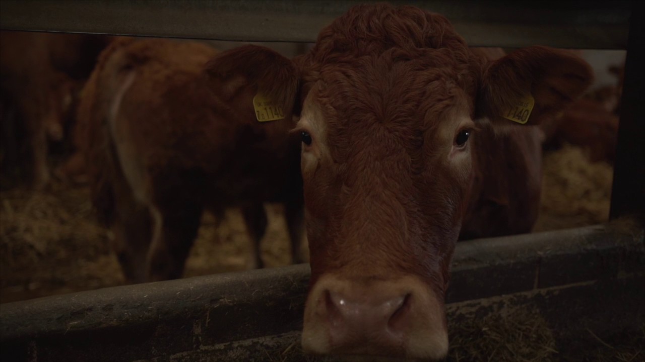 A Farming Legacy