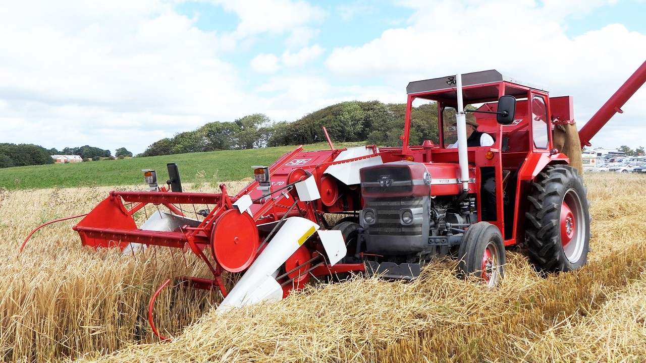 Vintage Combine Tractors in The Field Harvesting