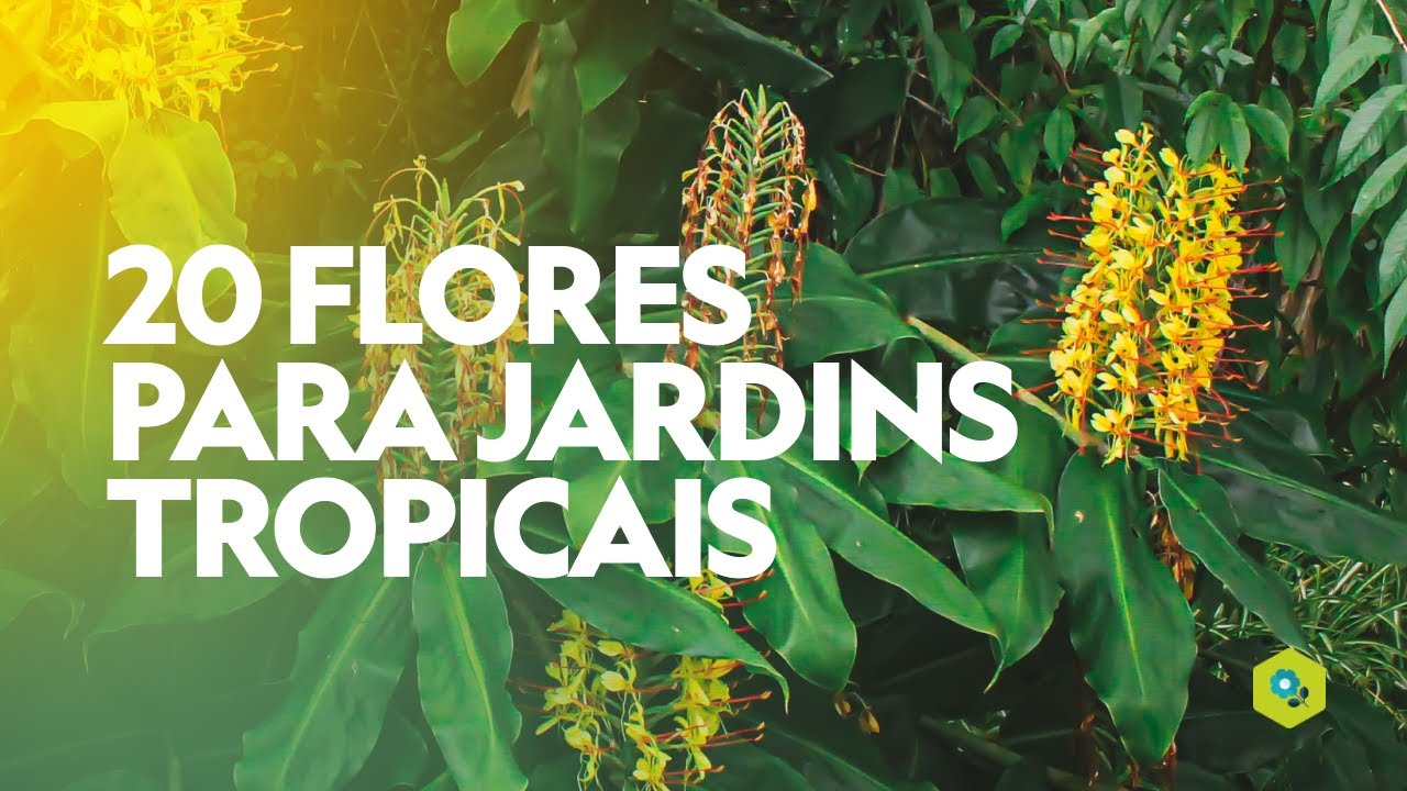 20 FLORES para JARDINS TROPICAIS