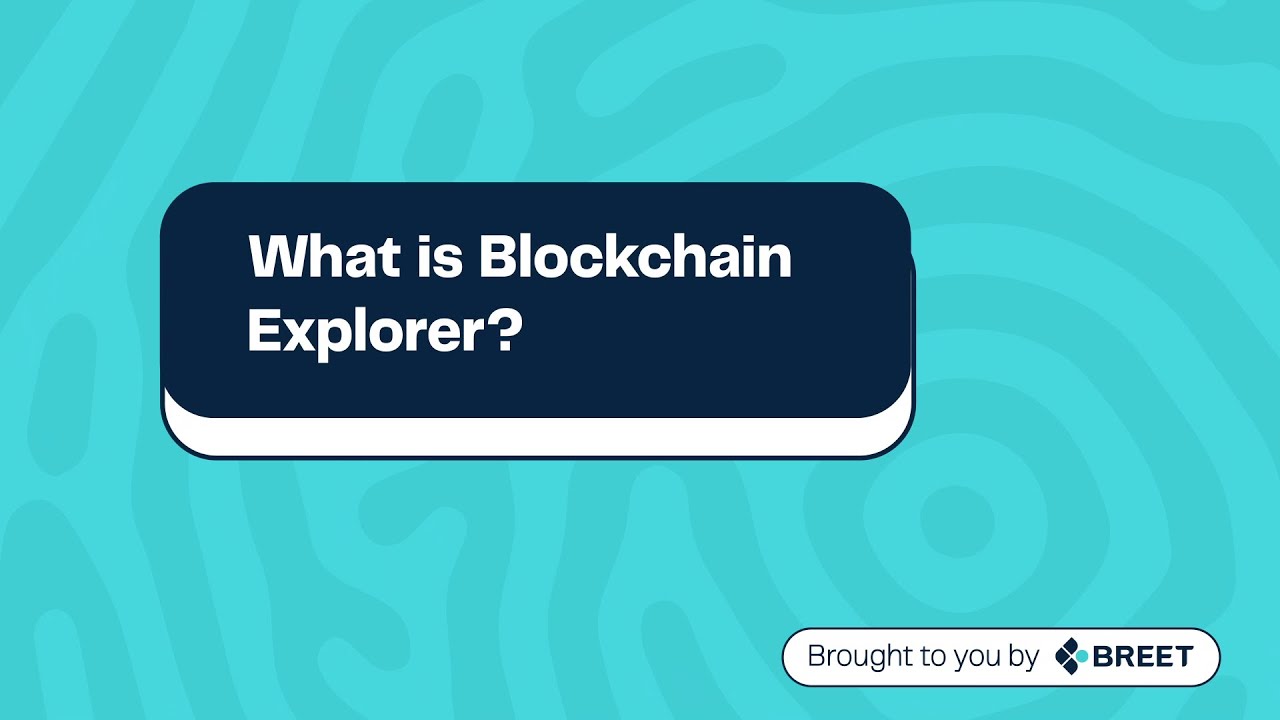 What is a Blockchain Explorer?