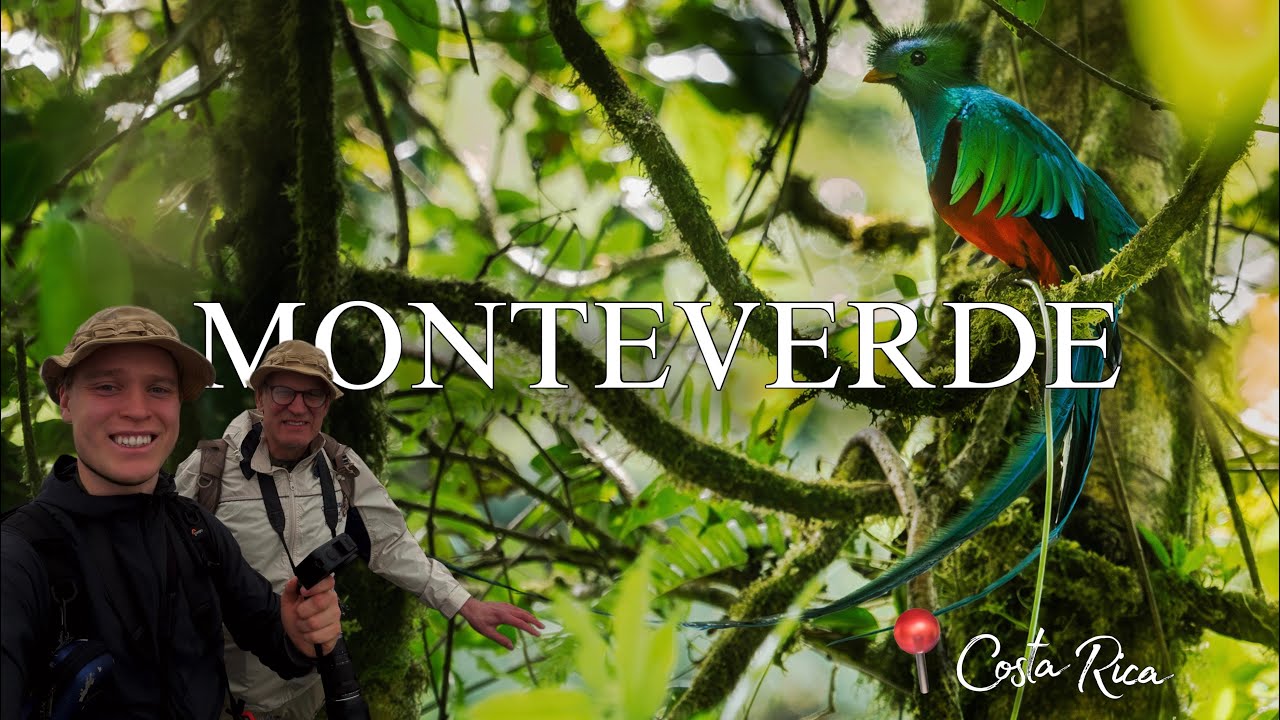 Exploring Monteverde, Costa Rica | Cloud Forest Wildlife & Pura Vida