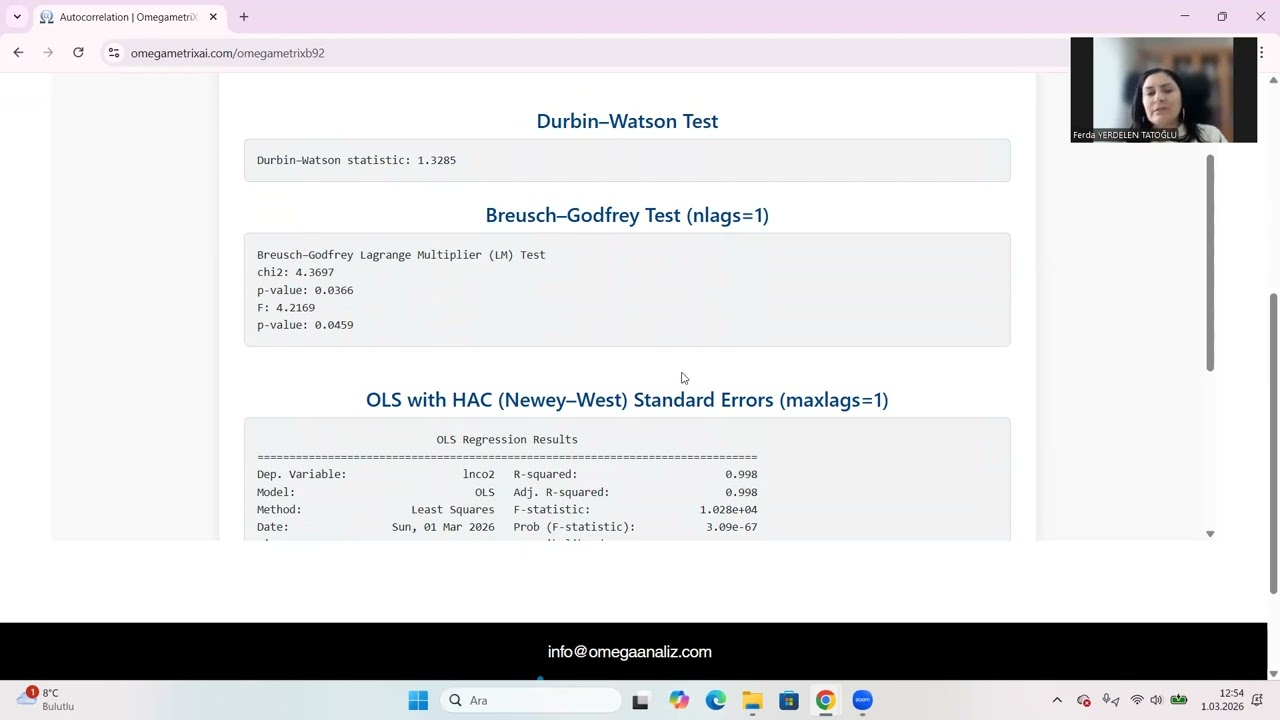 Otokorelasyon | Breusch-Godfrey, Durbin-Watson Testleri | OmegametrixAI