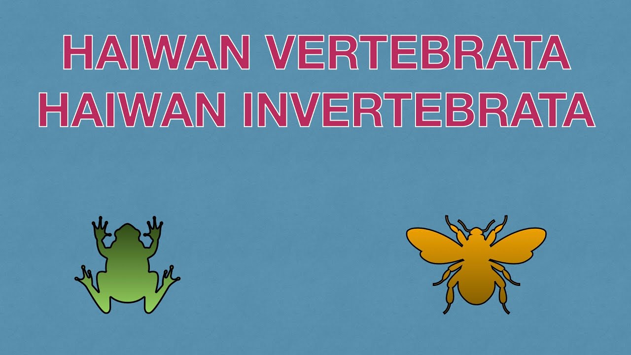 Sains Tahun 4: Haiwan Vertebrata dan Haiwan Invertebrata I #cikgooTube #CikguZoul