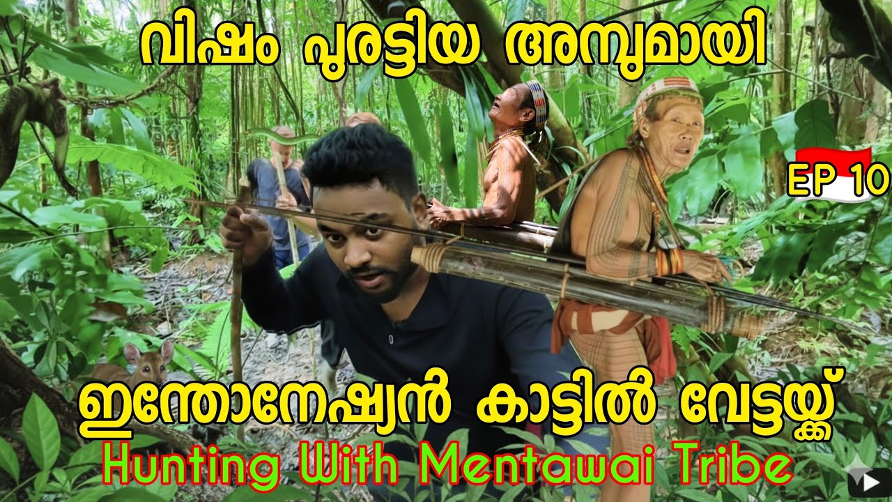 EP10 വിഷം പുരട്ടിയ അമ്പുമായി ഇന്തോനേഷ്യൻ കാട്ടിൽ വേട്ടയ്ക്ക് Mentawai Tribe Indonesia Malayalam 