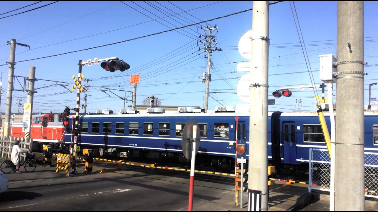 奥羽本線踏切43.5　弘南踏切臨時列車ツガルツナガル号！　Railroad Crossing in Japan　#鉄道 #踏切 #train