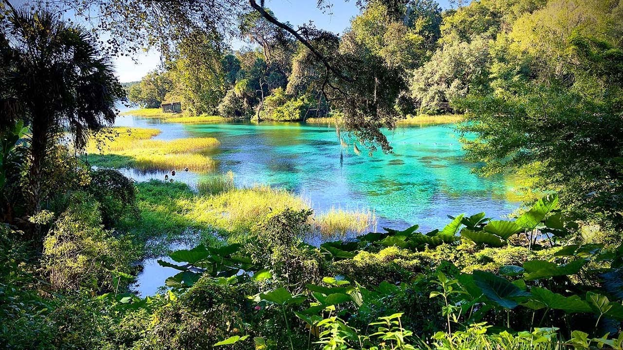 Rainbow Springs is a Stunning Hidden Gem in Florida and You Shouldn't Miss it!