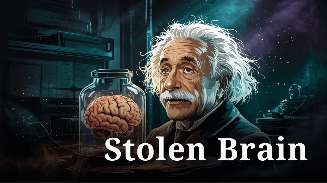 The Strange Story of Einstein’s Stolen Brain | The Sleepy Club
