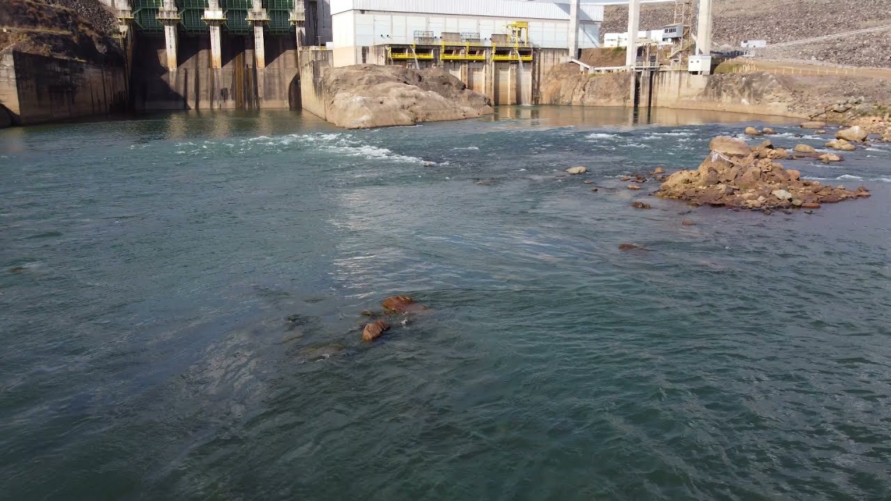 Drone flagra grandes peixes na Usina do Funil em Lavras - MG