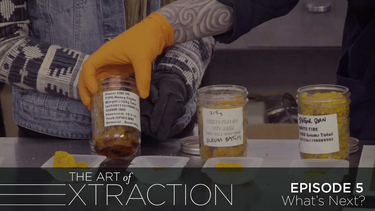 The Future of the Cannabis Extract Industry: The Art of Extraction with Roxy Striar